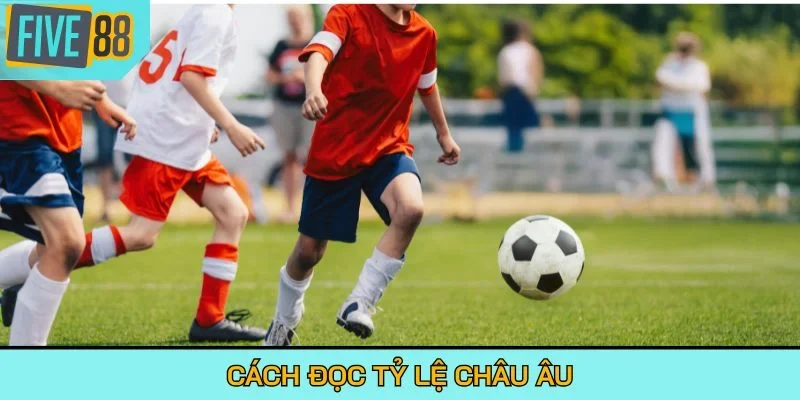 Cách đọc tỷ lệ châu Âu