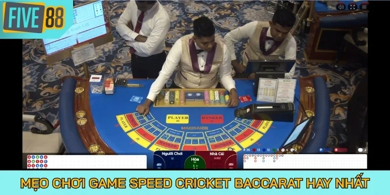 Mẹo chơi game Speed Cricket Baccarat hay nhất
