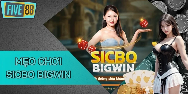 Chú ý khi áp dụng mẹo chơi Sicbo BigWin 