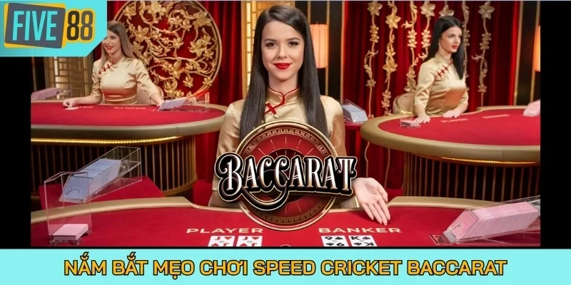 Nắm bắt mẹo chơi Speed Cricket Baccarat